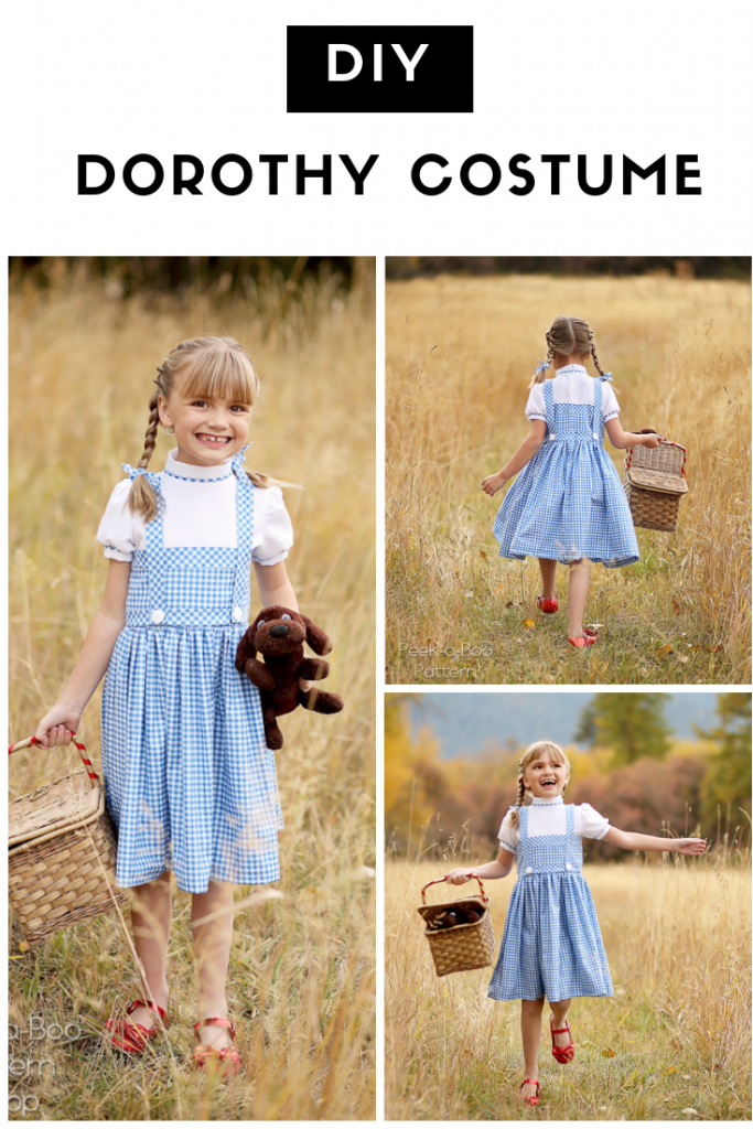 Diy Dorothy Costume Fun And Easy Costume