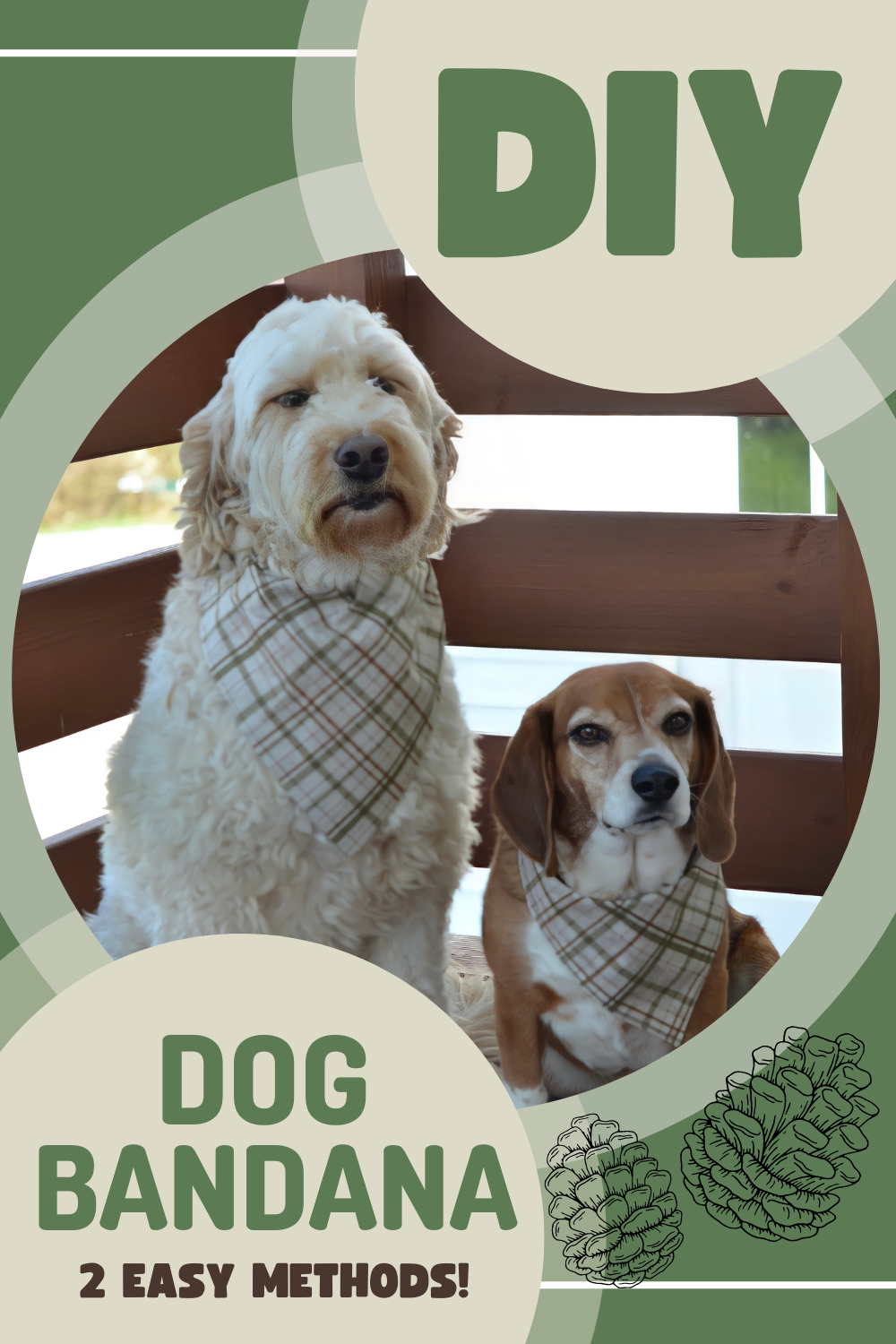 what does bandana mean for dogs